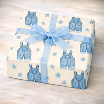 Blue Dungaree Overalls